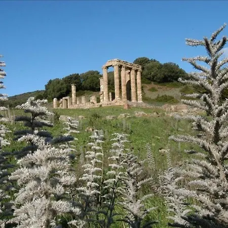 아파트 Mirto 부게루